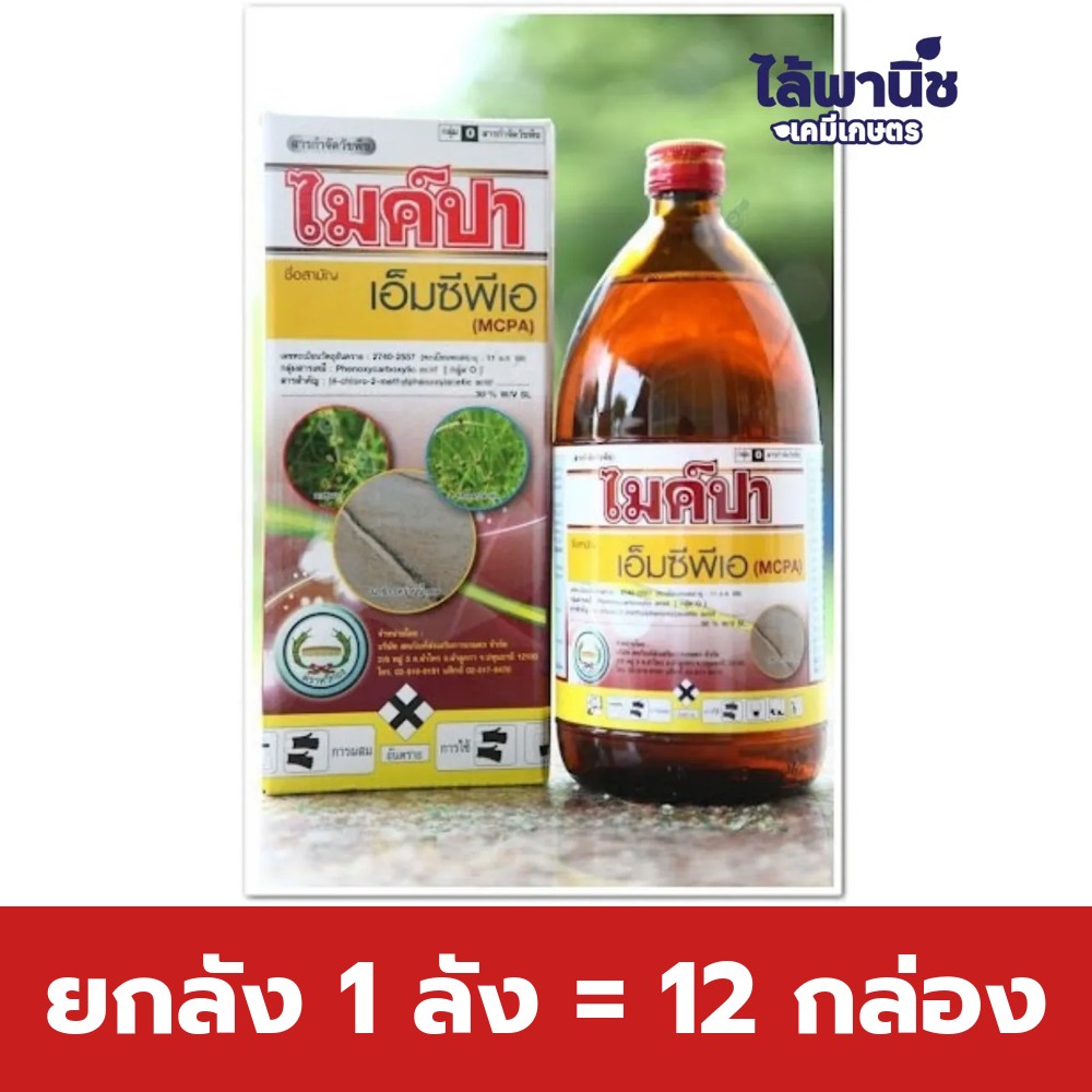 ยกลัง 1 ลัง = 12 กล่อง