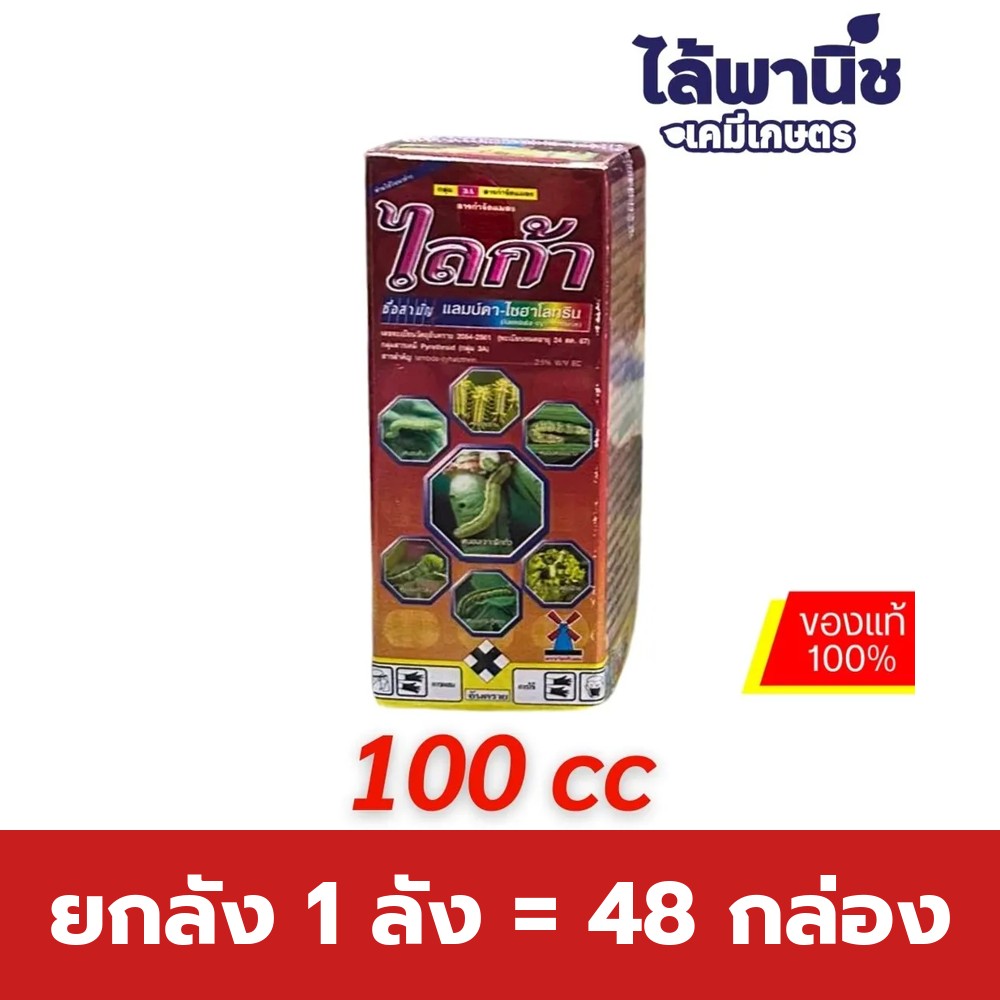 ยกลัง 1 ลัง = 48 กล่อง