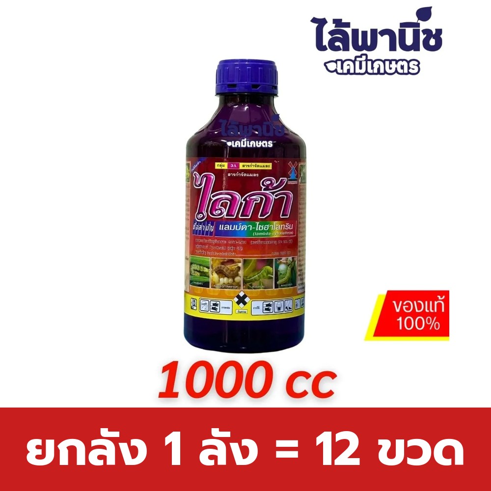 ยกลัง 1 ลัง = 12 ขวด