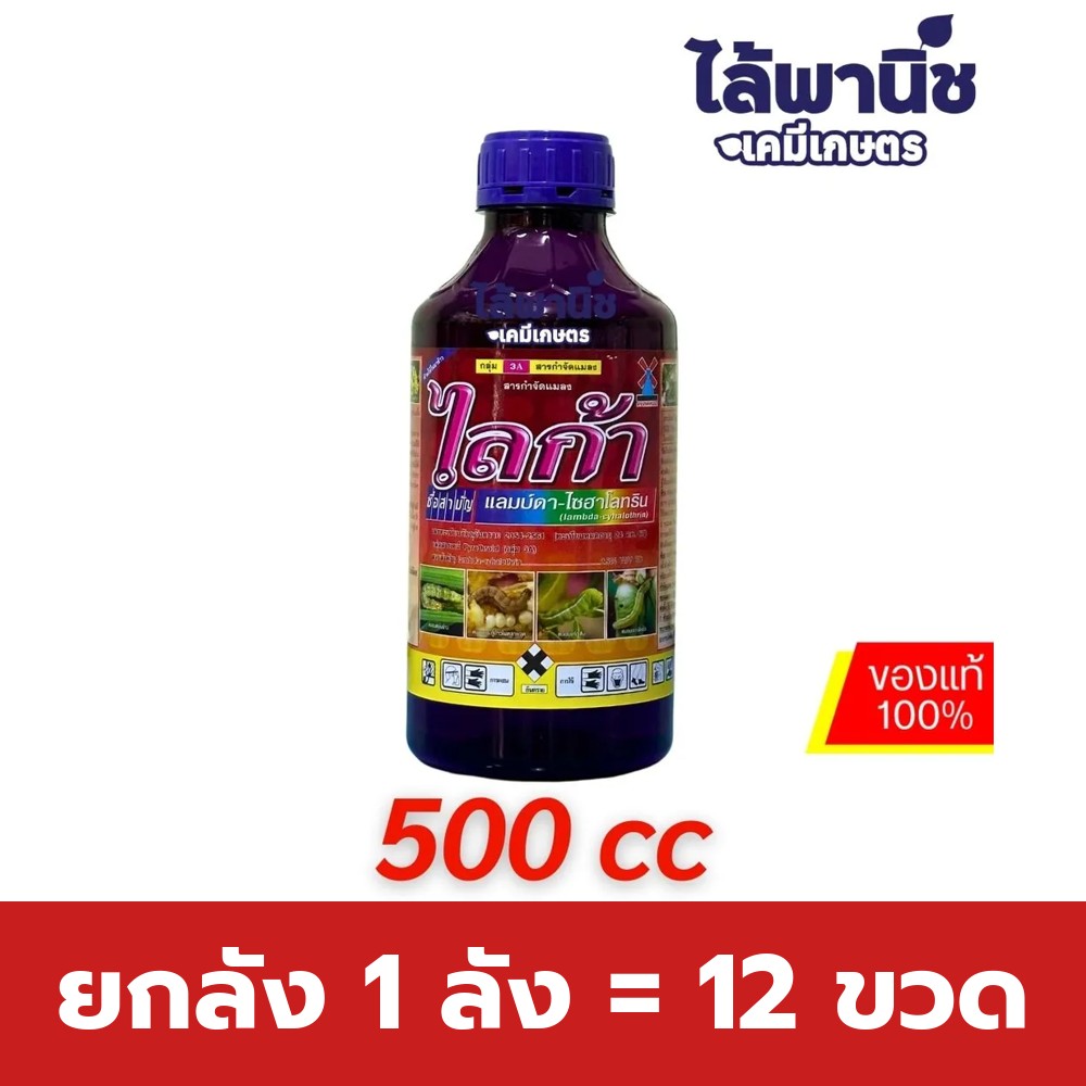 ยกลัง 1 ลัง = 12 ขวด
