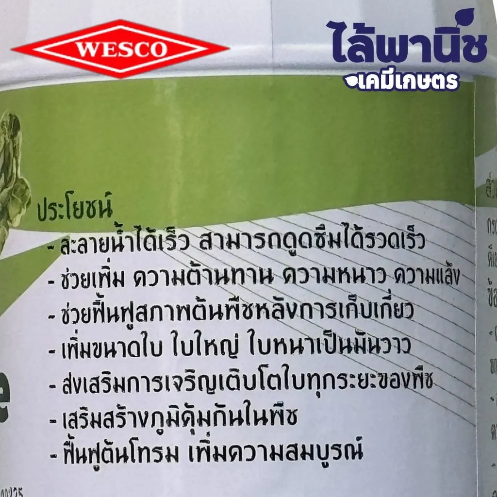 ไวโนเลต 1L