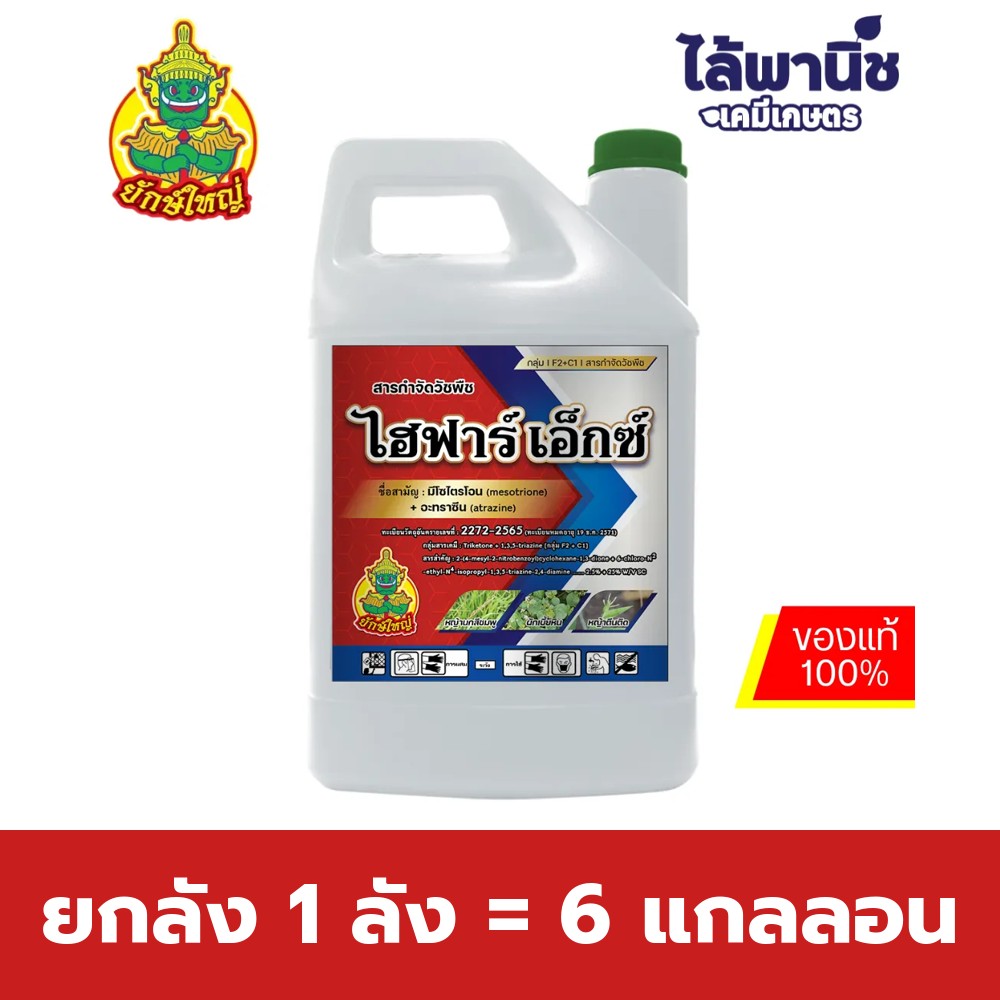 ยกลัง 1 ลัง = 6 แกลลอน