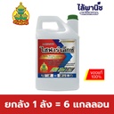 ยกลัง 1 ลัง = 6 แกลลอน