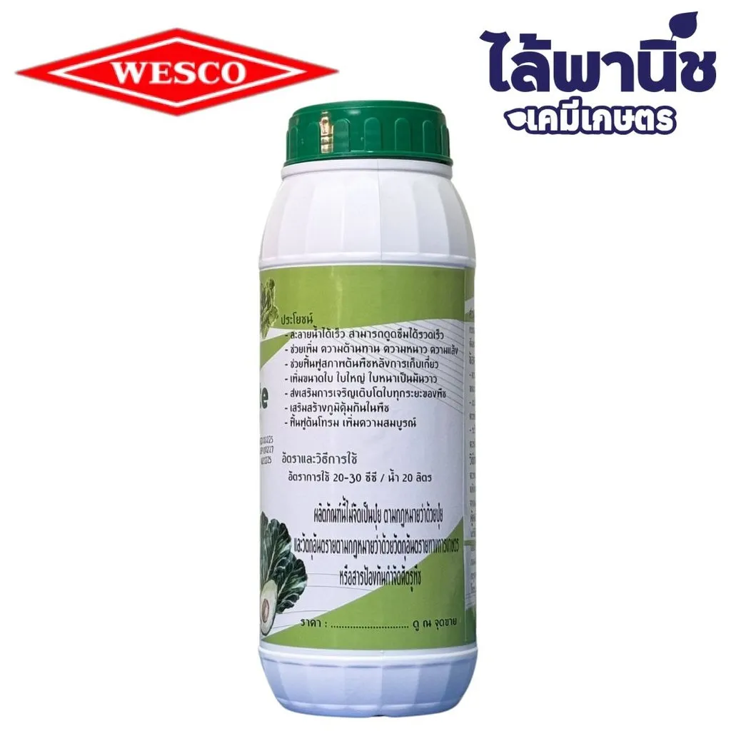 131_result.webp