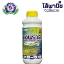 ยากำจัดแมลง คอนราด คลอแรนทรานิลิโพรล ดานหน้า