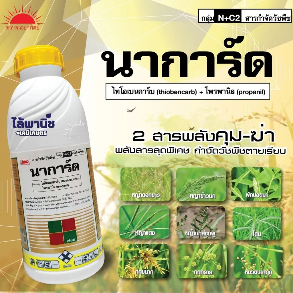 นาการ์ดทอง(สีขาว+ทอง) รูป.webp