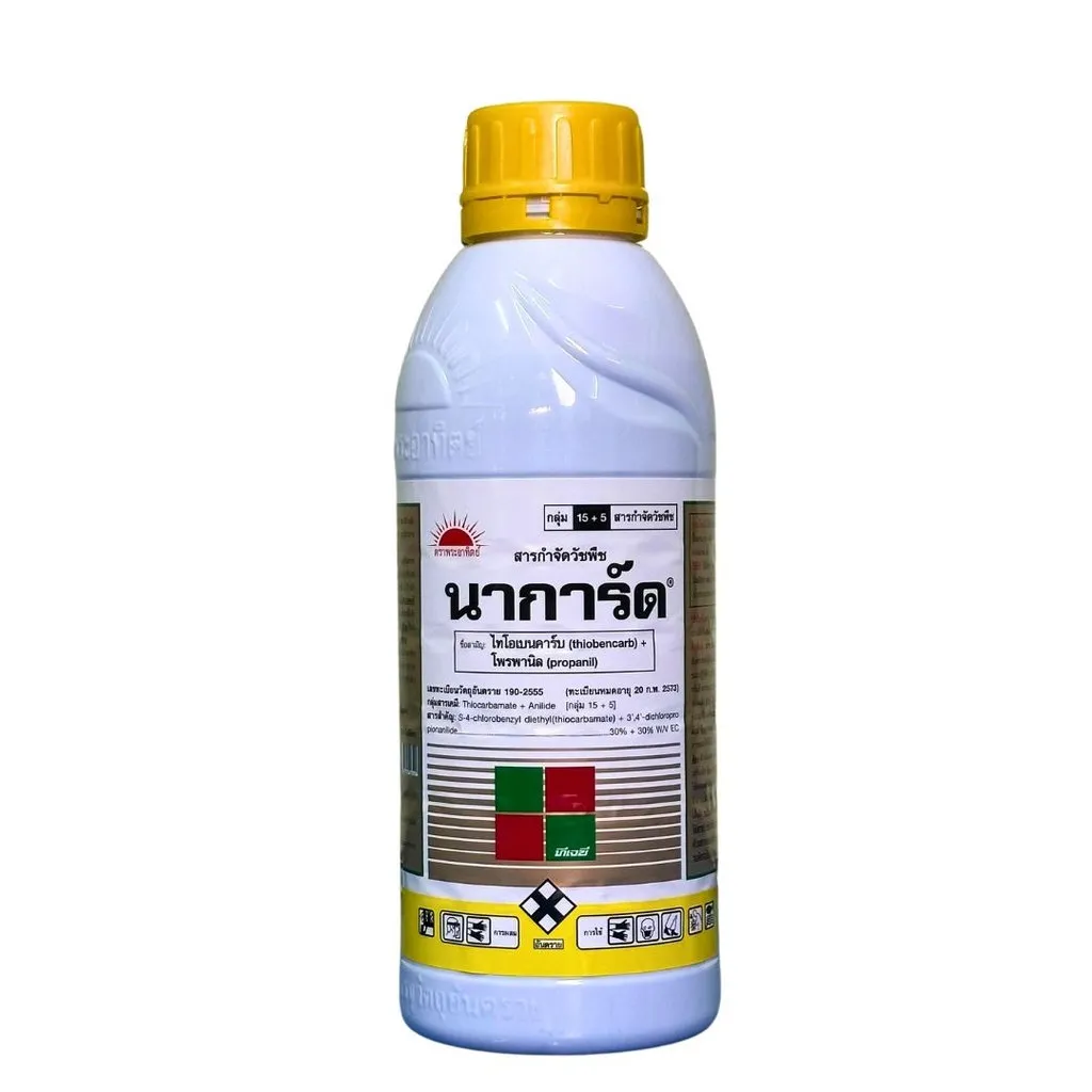นาการ์ดทอง(สีขาว+ทอง).webp