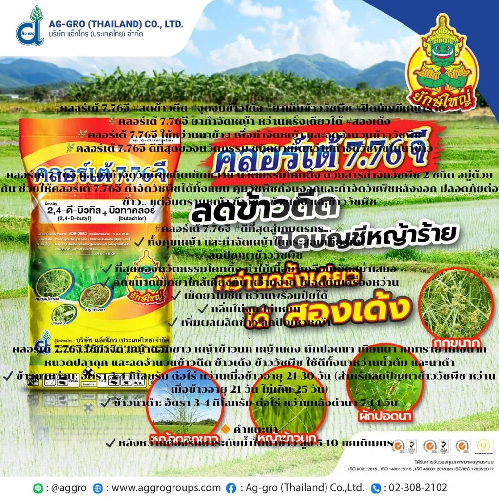 ยาฆ่าหญ้า คลอร์ดี.webp