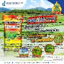 ยาฆ่าหญ้า คลอร์ดี.webp
