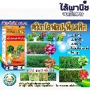 ยาฆ่าหญ้า ควิซาโลฟอป พี-เอทิล รูป