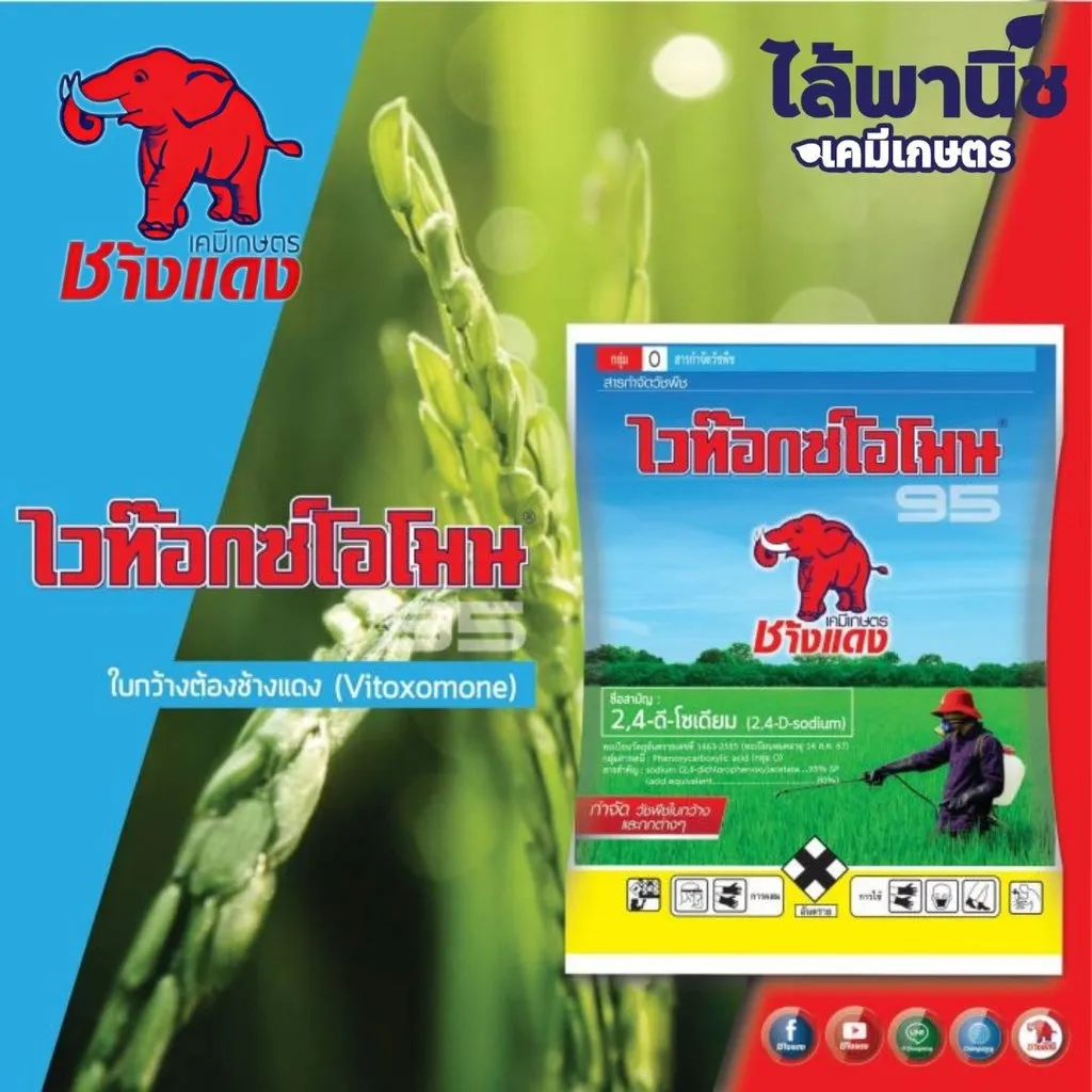 ยาฆ่าหญ้า ช้างแดง รูป