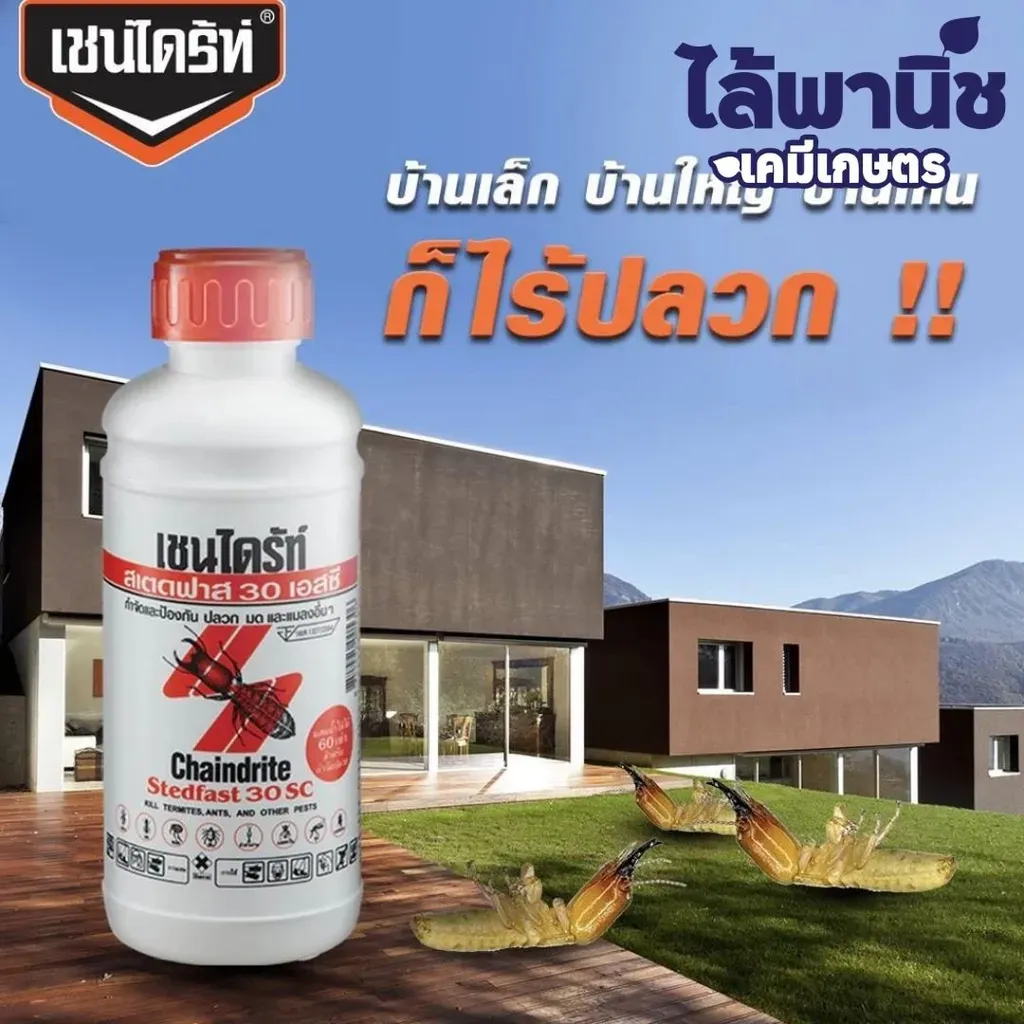 เชนไดร์ท1L กำจัดปลวก รูปบ้าน.webp