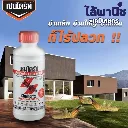 เชนไดร์ท1L กำจัดปลวก รูปบ้าน.webp