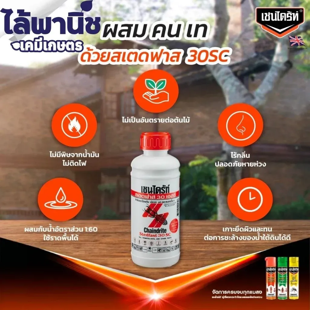 เชนไดร์ท ฉีดปลวก.webp