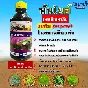 พันไมล์ เพนดิเมทาลิน แนะนำ.webp