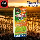 ยาฆ่าหญ้า พาโตวีด 6.9 ฟีโนซาพรอป-พี-เอทิล