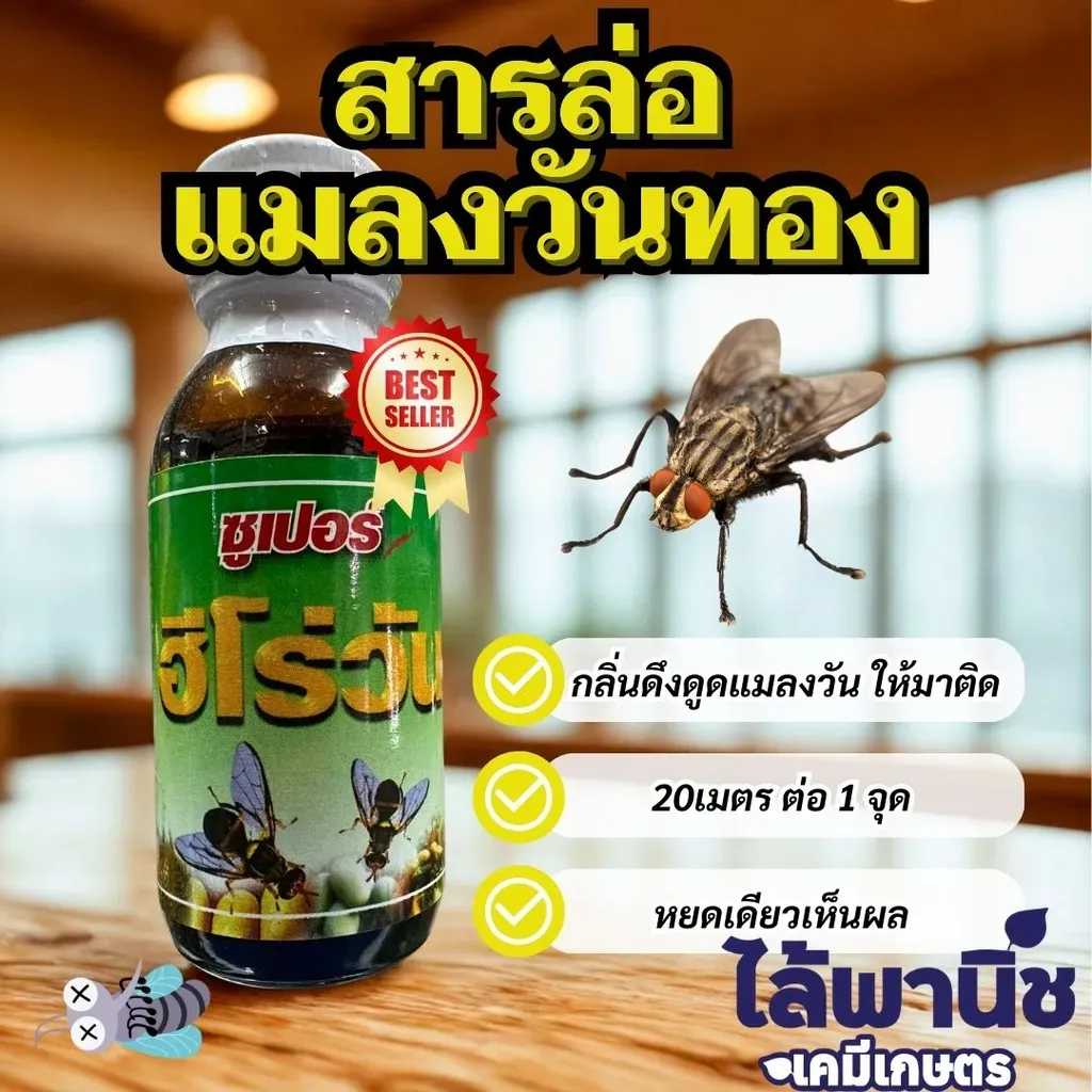 376.webp