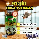 376.webp