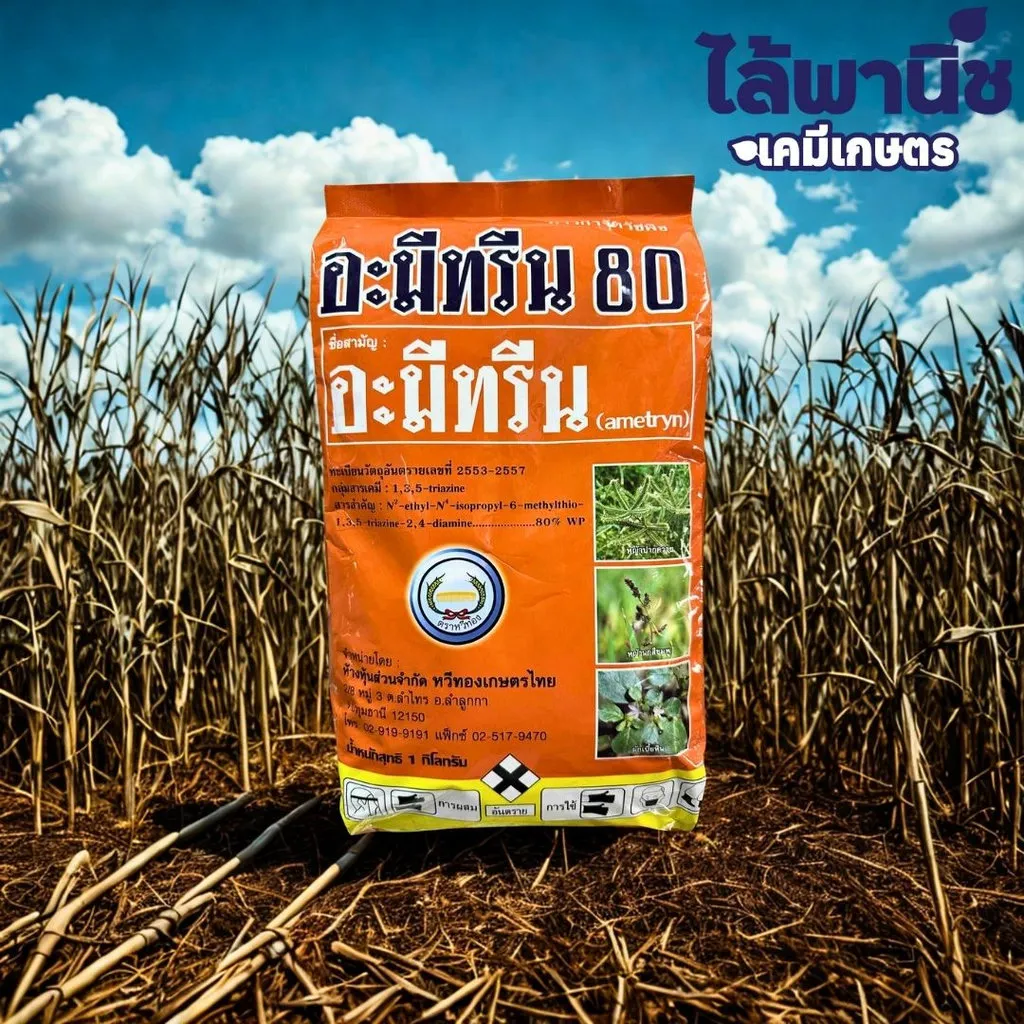 อะมีทรีน 80
