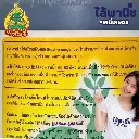 ยาฆ่าหญ้า โคลฟ ฟีโนซาพรอป-พี-เอทิล วิธีใช้