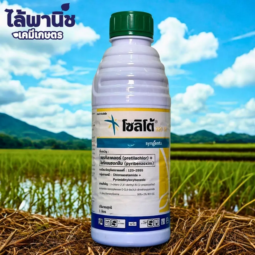 ยาฆ่าหญ้า โซลิโต้ 320 อีซี เพรทิลาคลอร์+ไพริเบนซอกซิม .webp
