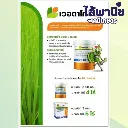 ยากำจัดแมลง เวอตาโกร50g คลอแรนทรานิลิโพรล+ไทอะมีทอกแซม