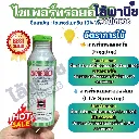 ยากำจัดแมลง ไซเพอร์ทรอยด์ ไซเพอร์เมทริน