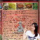 ยากำจัดแมลง ไลก้า 1L แลมบ์ดา-ไซฮาโลทริน วิธีใช้.webp