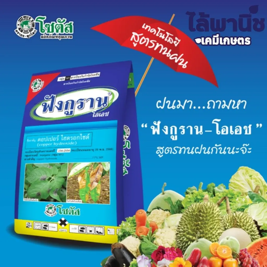 ยากำจัดโรคพืช ฟังกูราน คอปเปอร์ไฮดรอกไซด์ แนะนำ