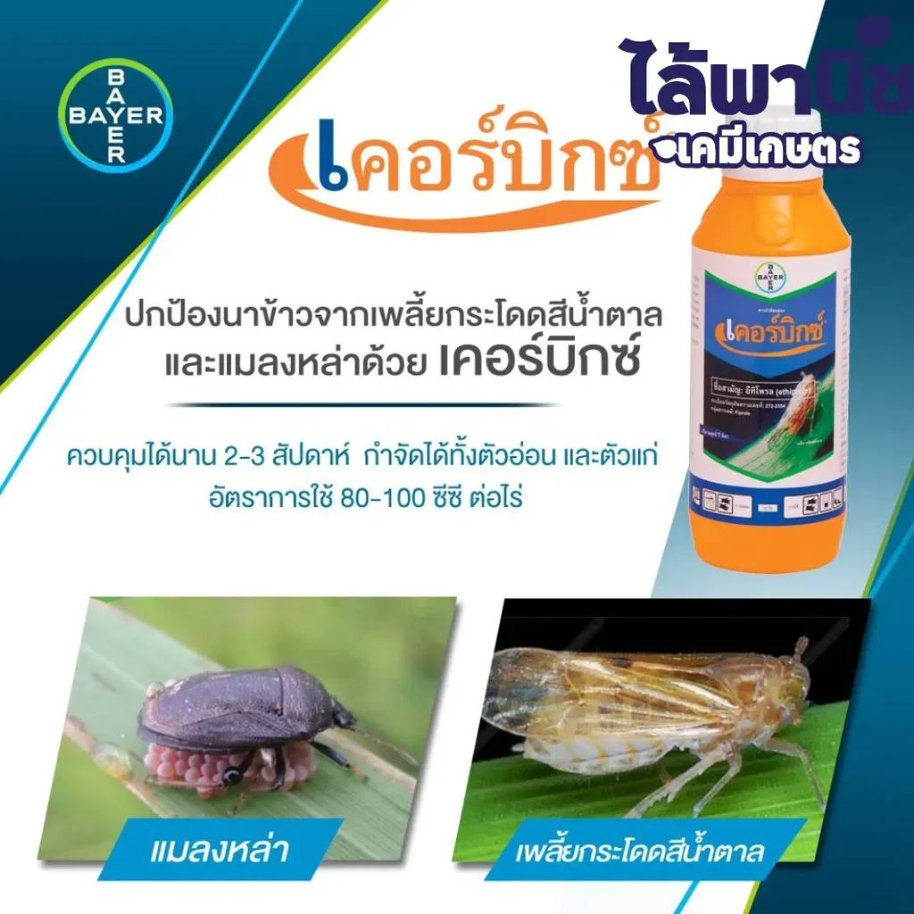 ยากำจัดแมลง เคอร์บิกซ์ อีทีโพรล วิธีใช้