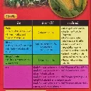 ฮอร์โมนและอาหารเสริม สตรีมพลัส โกลด์ วิธีใช้