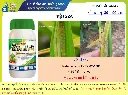อินโกร.webp