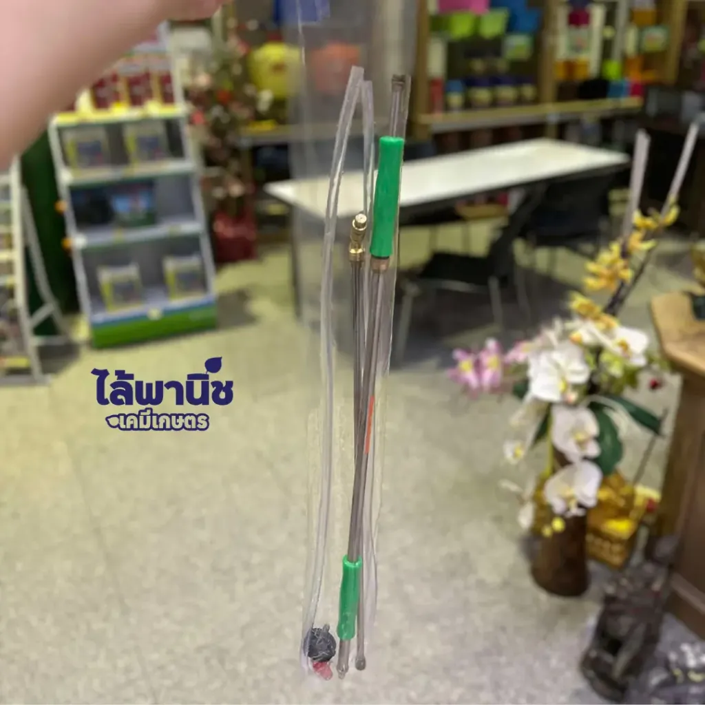 สูบแสตนเลสสีเขียว 1 พื้นหลัง หน้าร้าน.webp
