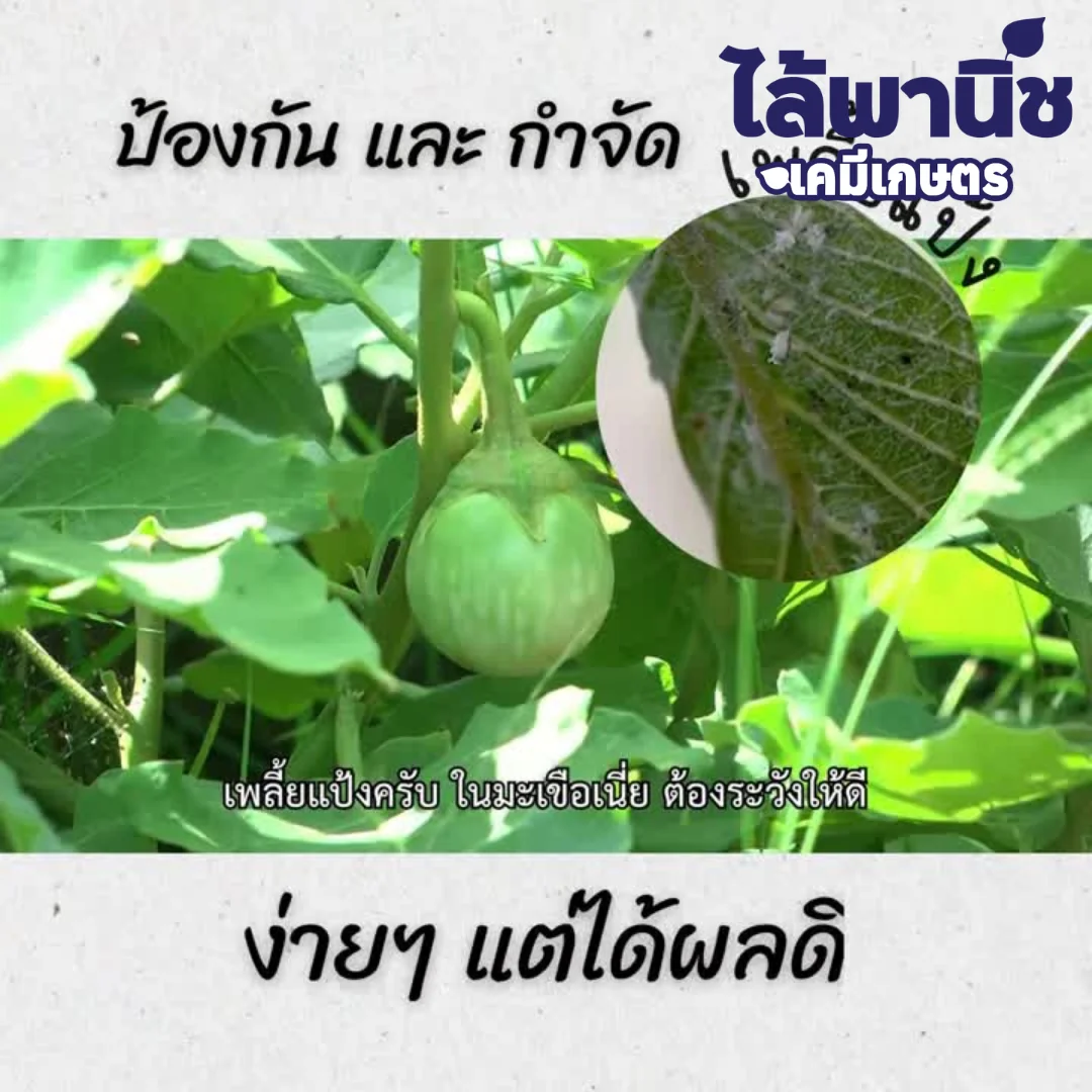 น้ำส้มควันไม้ 303 TPI ( เข้มข้น) 1L_official