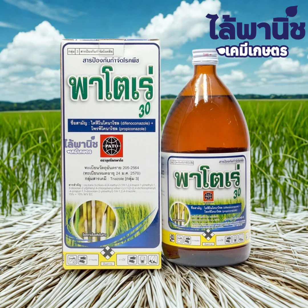 พาโตเร่ 300 1L ขวด [ไดฟีโนโคนาโซล+โพรพิโคนาโซล] ลัง×12_กราฟฟิก