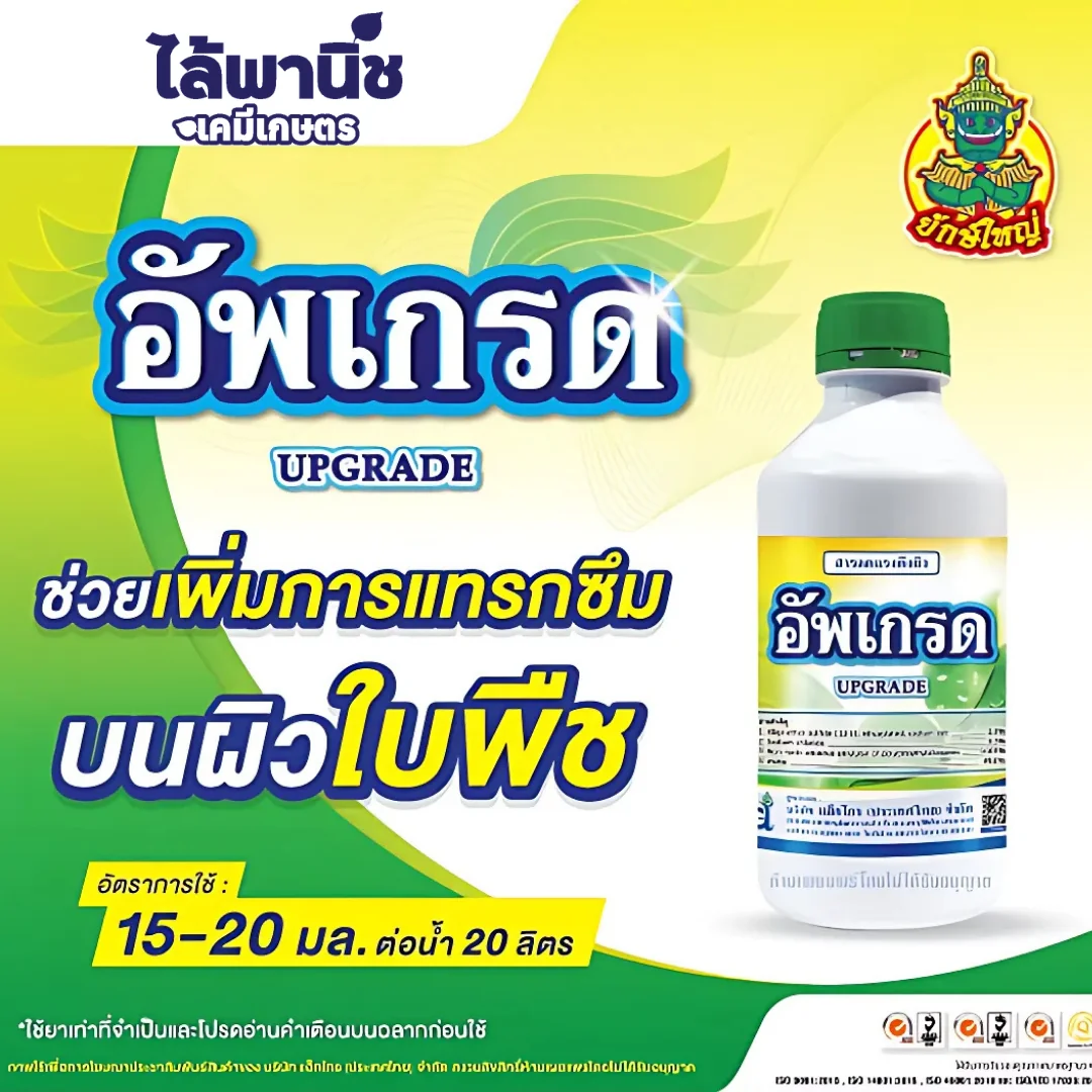 อัพเกรด 1L ขวด [สารจับใบ] ลัง×12_official