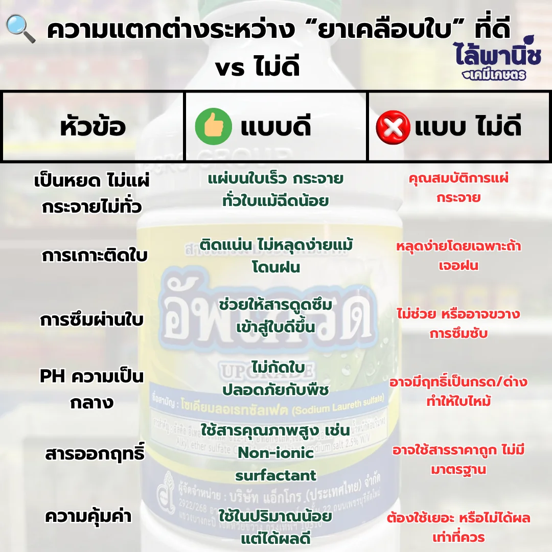 อัพเกรด 5L แกลลอน [สารจับใบ] ลัง×4_วิธีใช้