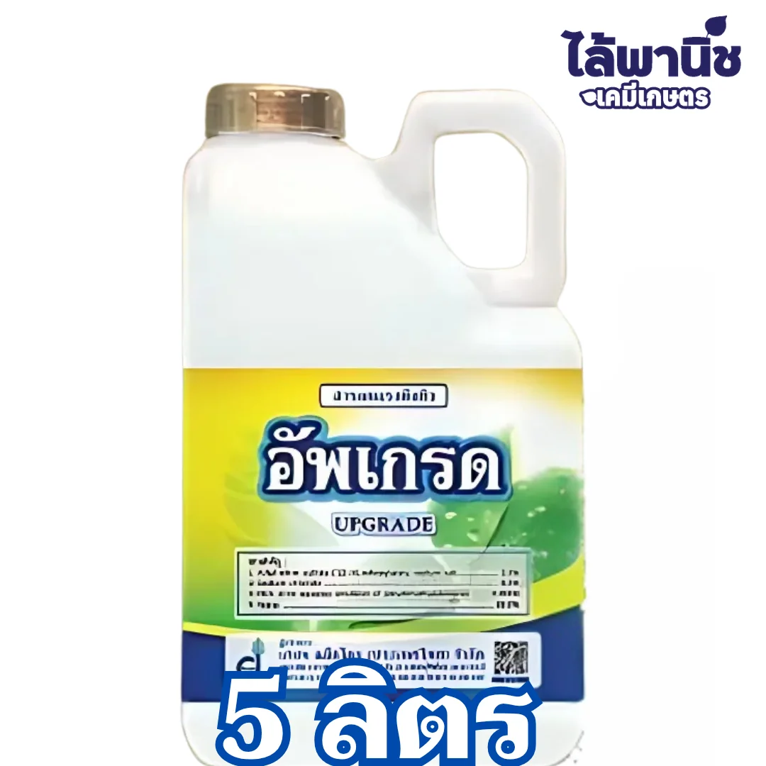 อัพเกรด 5L แกลลอน [สารจับใบ] ลัง×4_หน้า