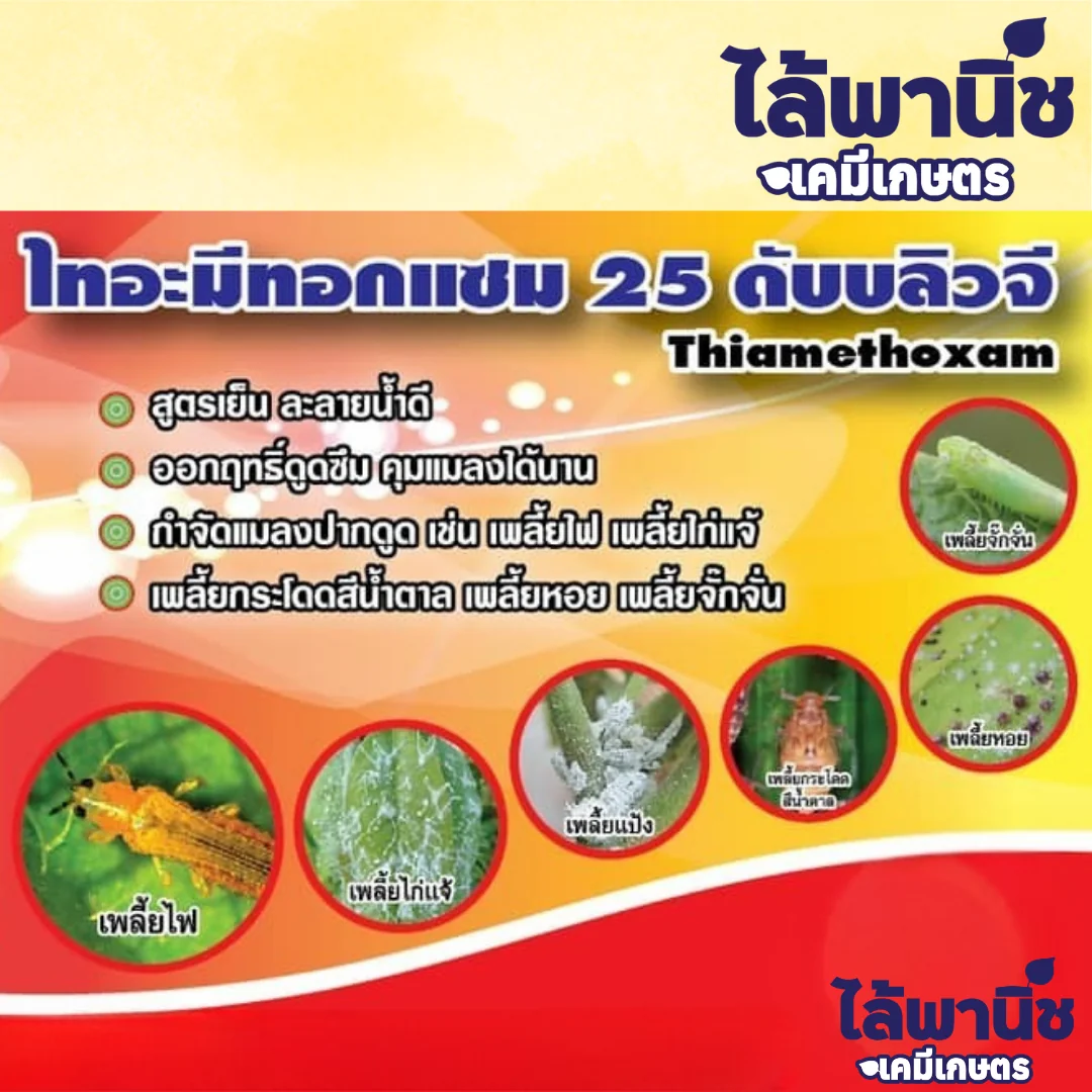 ไทอะมีทอกแซม  100g ซอง หวีทอง ลัง×100_official2