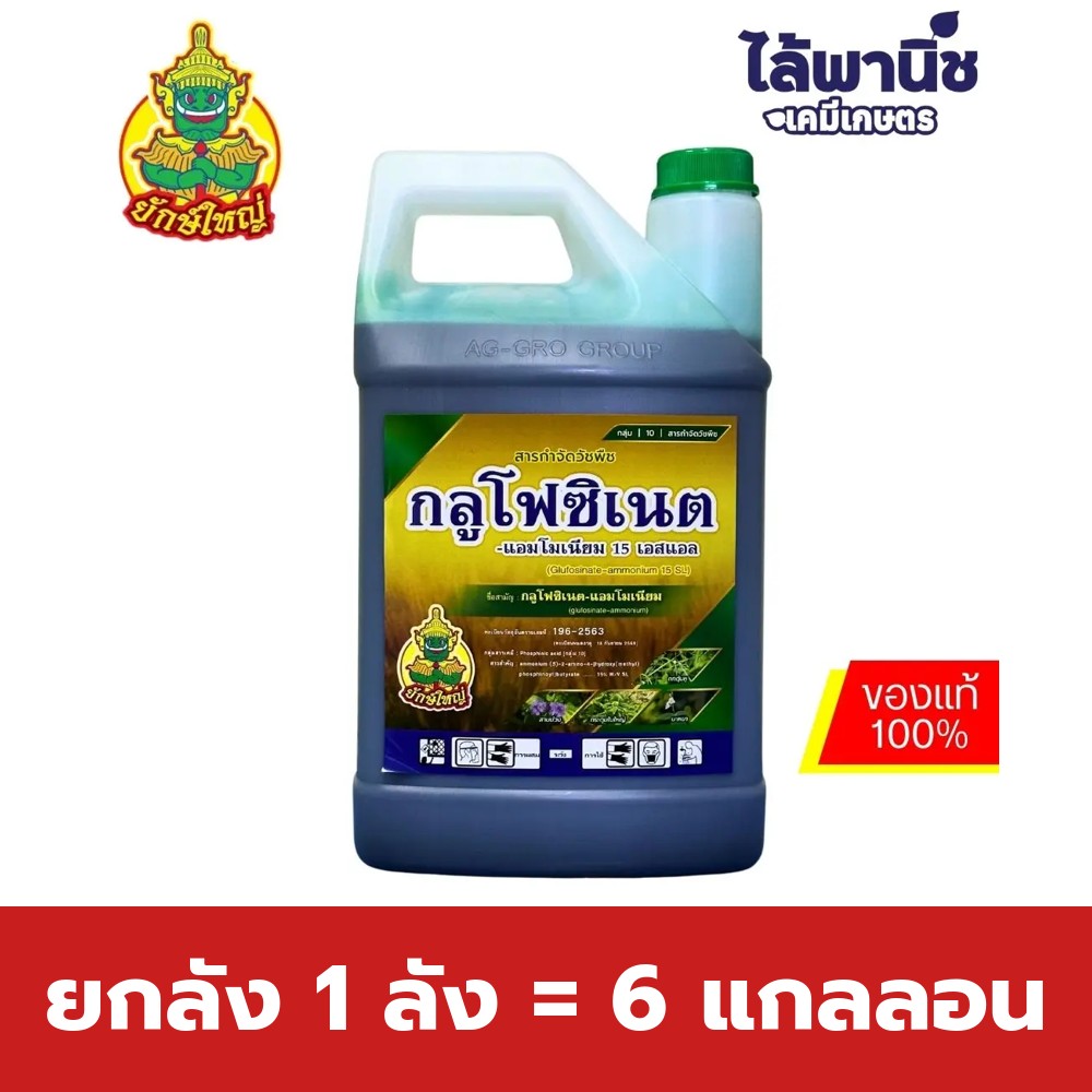 ยกลัง 1 ลัง = 6 แกลลอน