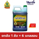 ยกลัง 1 ลัง = 6 แกลลอน