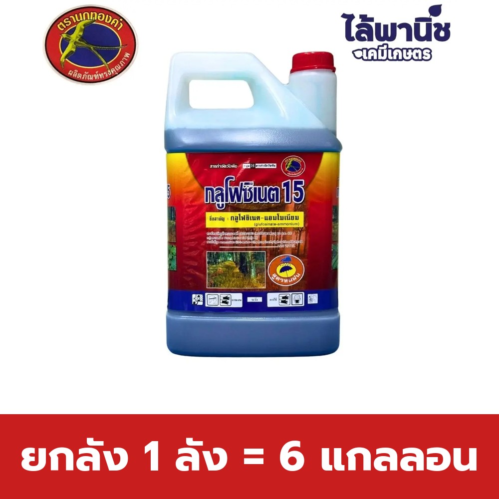 ยกลัง 1 ลัง = 6 แกลลอน