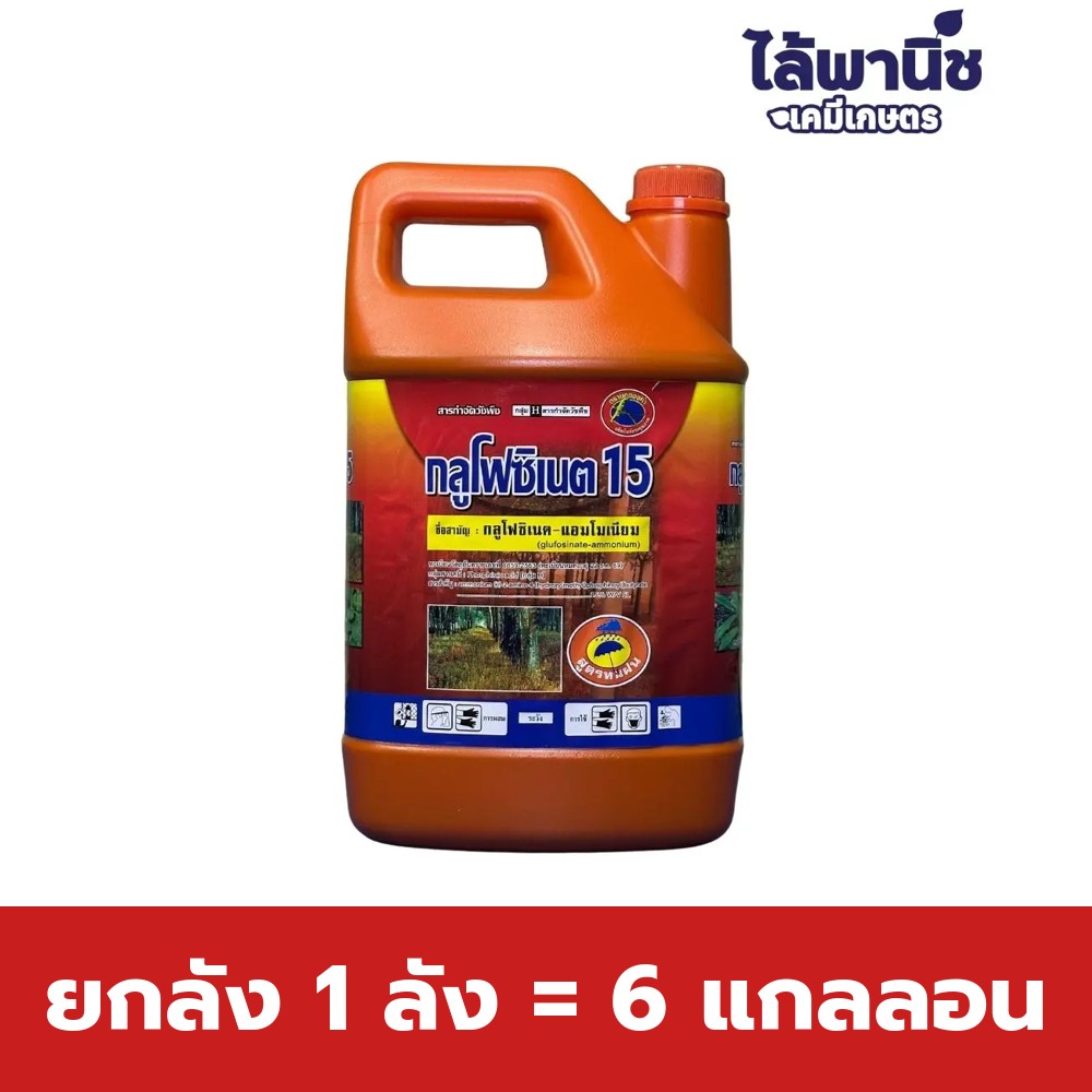 ยกลัง 1 ลัง = 6 แกลลอน