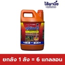 ยกลัง 1 ลัง = 6 แกลลอน