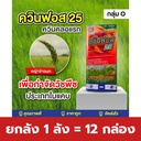 ยกลัง 1 ลัง = 12 กล่อง