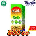 แซงชั่น 500cc ขวด e12