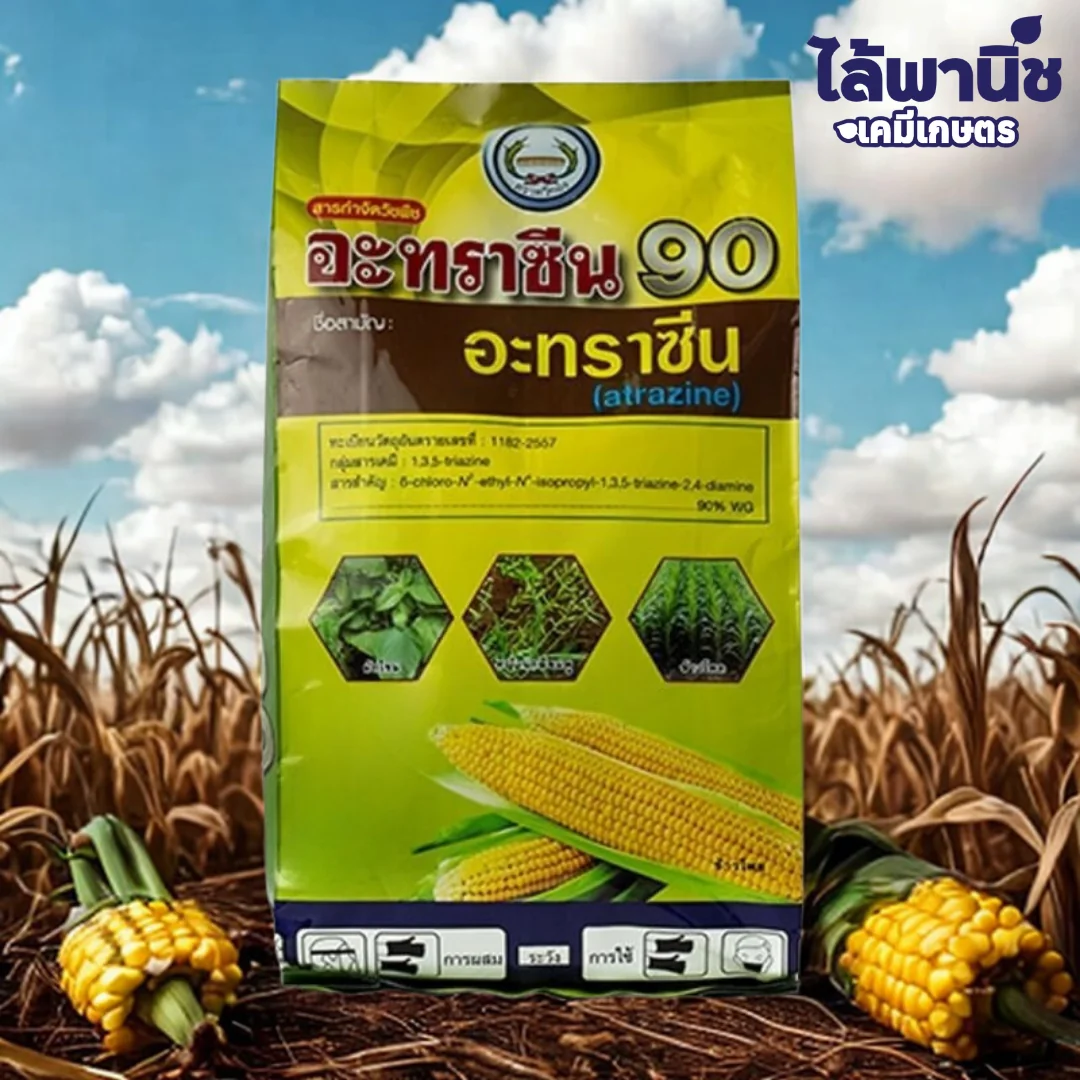 อะมีทรีน 80 เม็ด(หวีทอง) 1kg ถุง ลัง×20