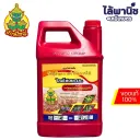 ไกลโฟเซต48 %4L แกลลอน (ยักษ์ใหญ่) c6