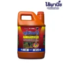 กลูโฟซิเนต 4L แกลลอน (นกทองคำ) สีส้ม ลัง×6