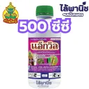 แอ็กวิล 500cc ขวด [เฮกซะโคนาโซล] ลัง×24